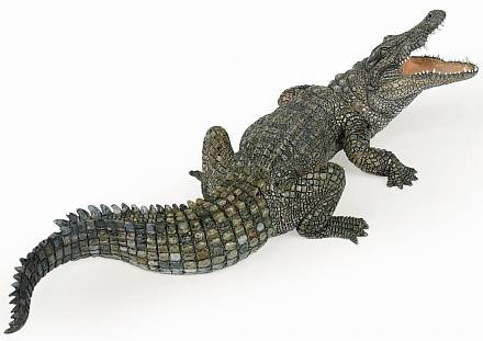 Фигурка Papo - Нильский крокодил 